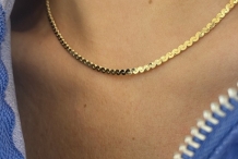 Collier Snake 