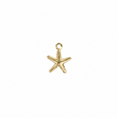 Pendentif Etoile de mer